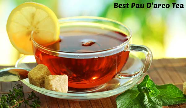 Best Pau D’arco Tea