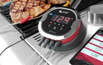 iGrill Barbecue Thermometer