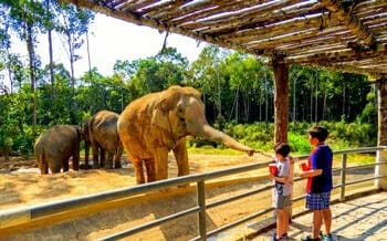 Visit the Famous Interesting Parks and Zoos 