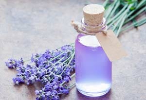 smell of lavender
