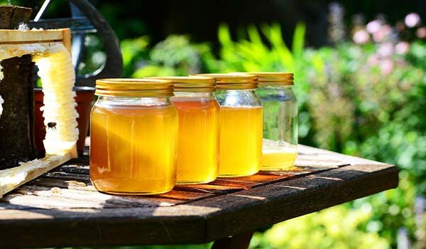 Honey Jar Buying Guide