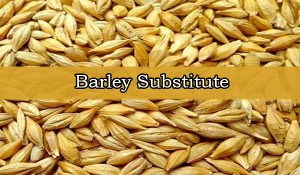 Barley Substitute