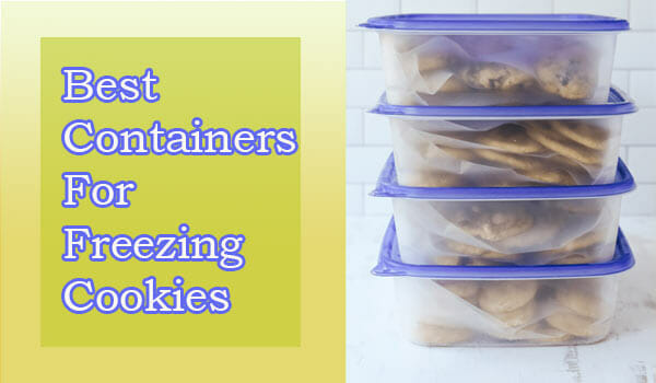 Best Containers for Freezing Cookies