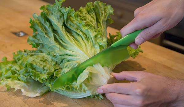 Best Lettuce Knife