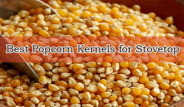 Best Popcorn Kernels for Stovetop