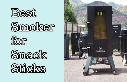Best Smoker for Snack Sticks