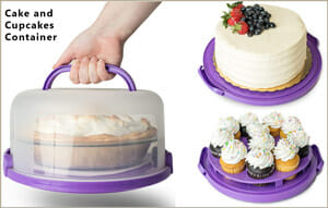 Cake and Cupcakes Container
