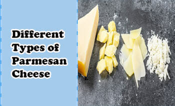 Different Types of Parmesan Cheese and Their Uses