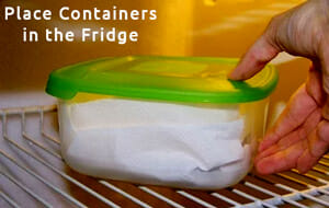 Place Containers in the Fridge