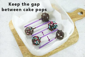 Place Your Cake Pops Inside the Container