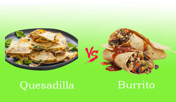Quesadilla vs. Burrito